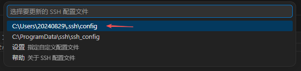 选择第一个配置文件